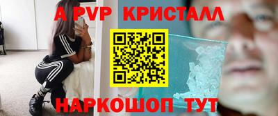 ECSTASY Заволжье
