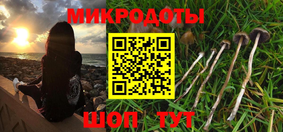 Галлюциногенные грибы прущие грибы  Вход с VPN  Лыткарино  Псилоцибиновые грибы мицелий 
