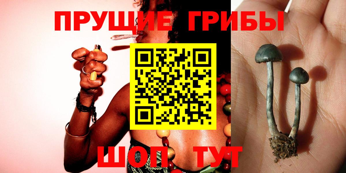 Галлюциногенные грибы Magic Shrooms Лыткарино