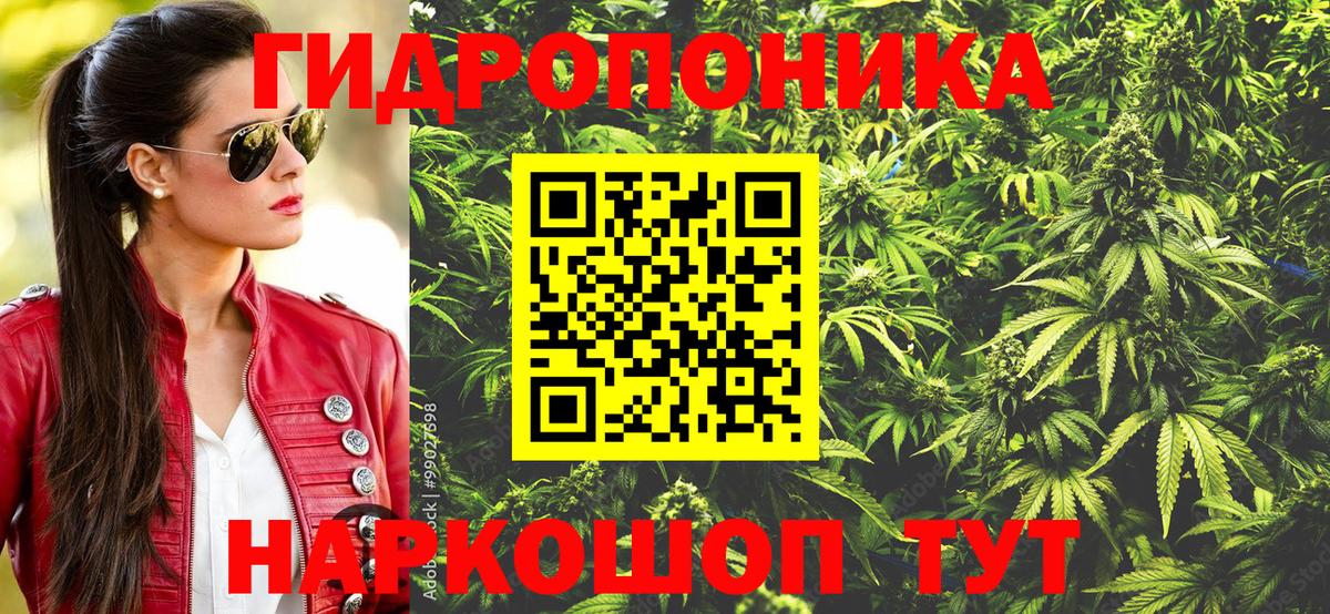 Канабис ГИДРОПОН Лыткарино